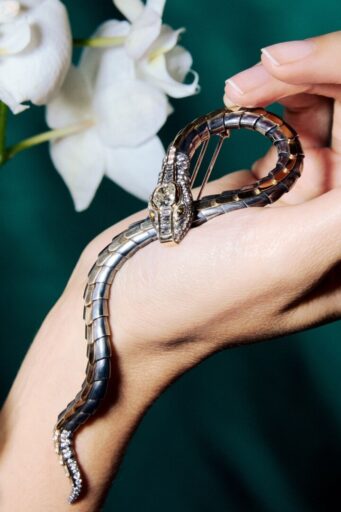 Elie Top Diamond Serpent Brooch Magica Naturae